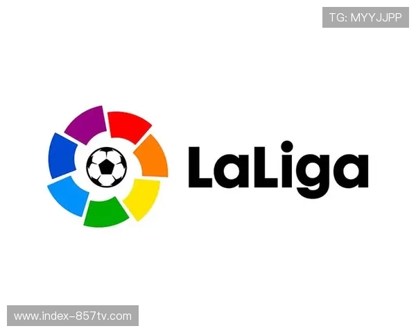 西甲联盟加强反盗版行动，每年挽回损失约6至7亿欧元