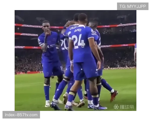 球迷因向场内投掷杂物干扰客队罚球，被禁止入场观赛一年